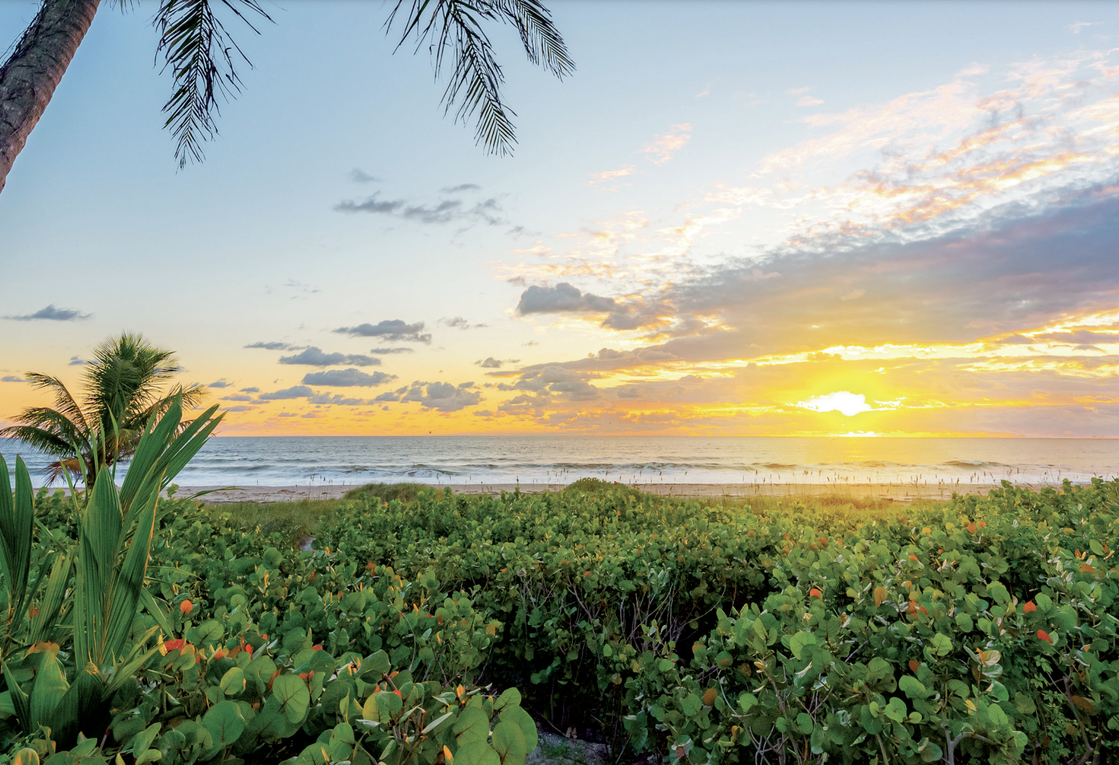 Read more about the article William Raveis – Market Report – June 2025