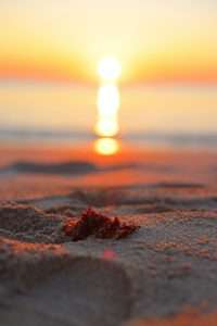 Read more about the article Cambridge Park at Orange Blossom