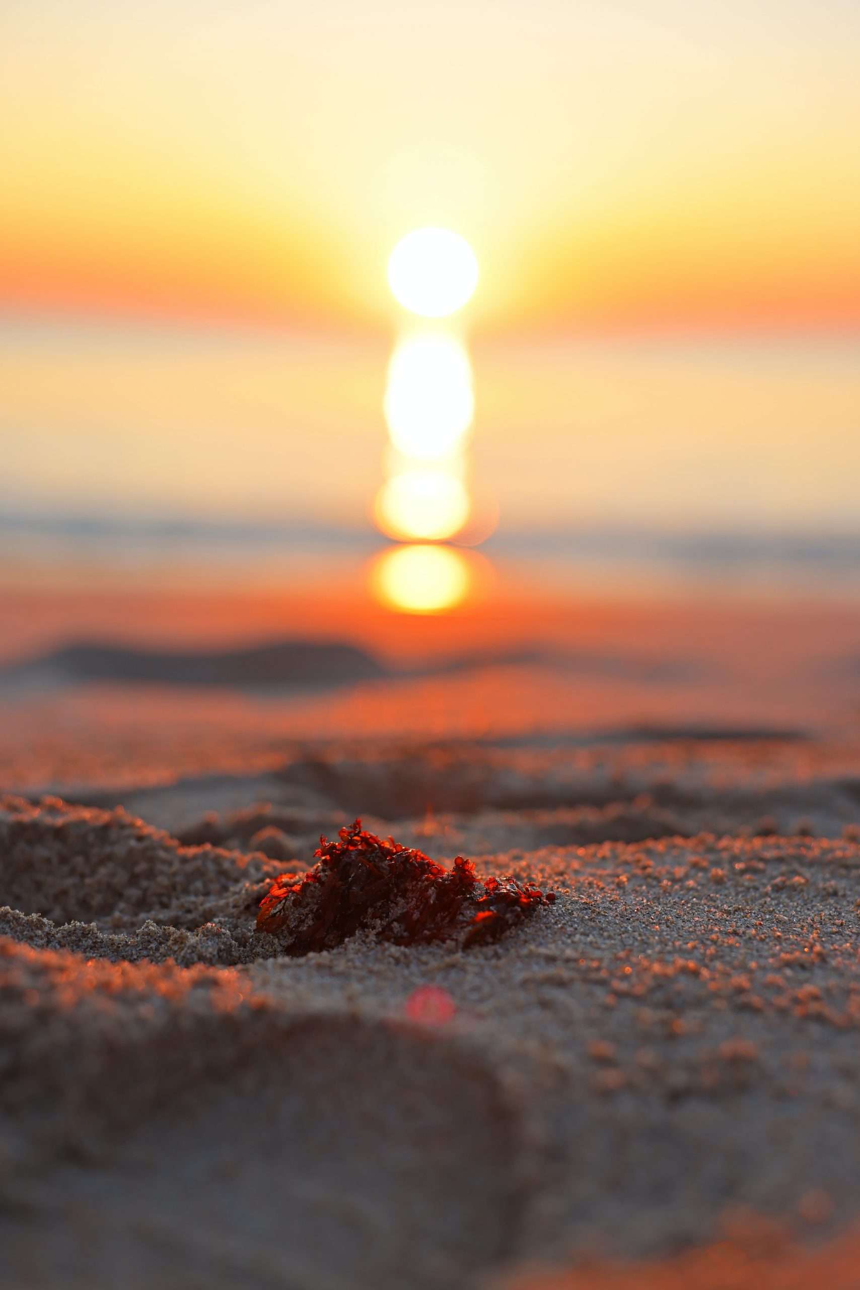 Read more about the article Cambridge Park at Orange Blossom