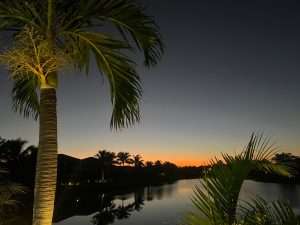 Read more about the article Collier’s Reserve