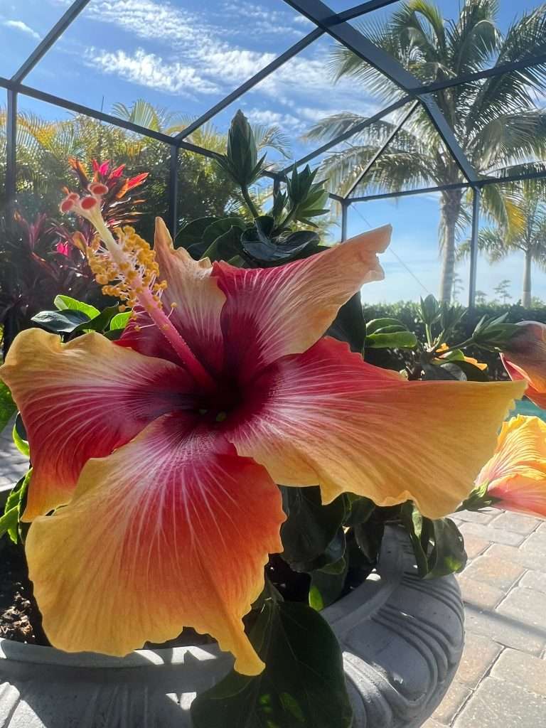 Marbella Lakes Naples