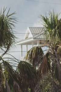 Read more about the article Tarpon Bay