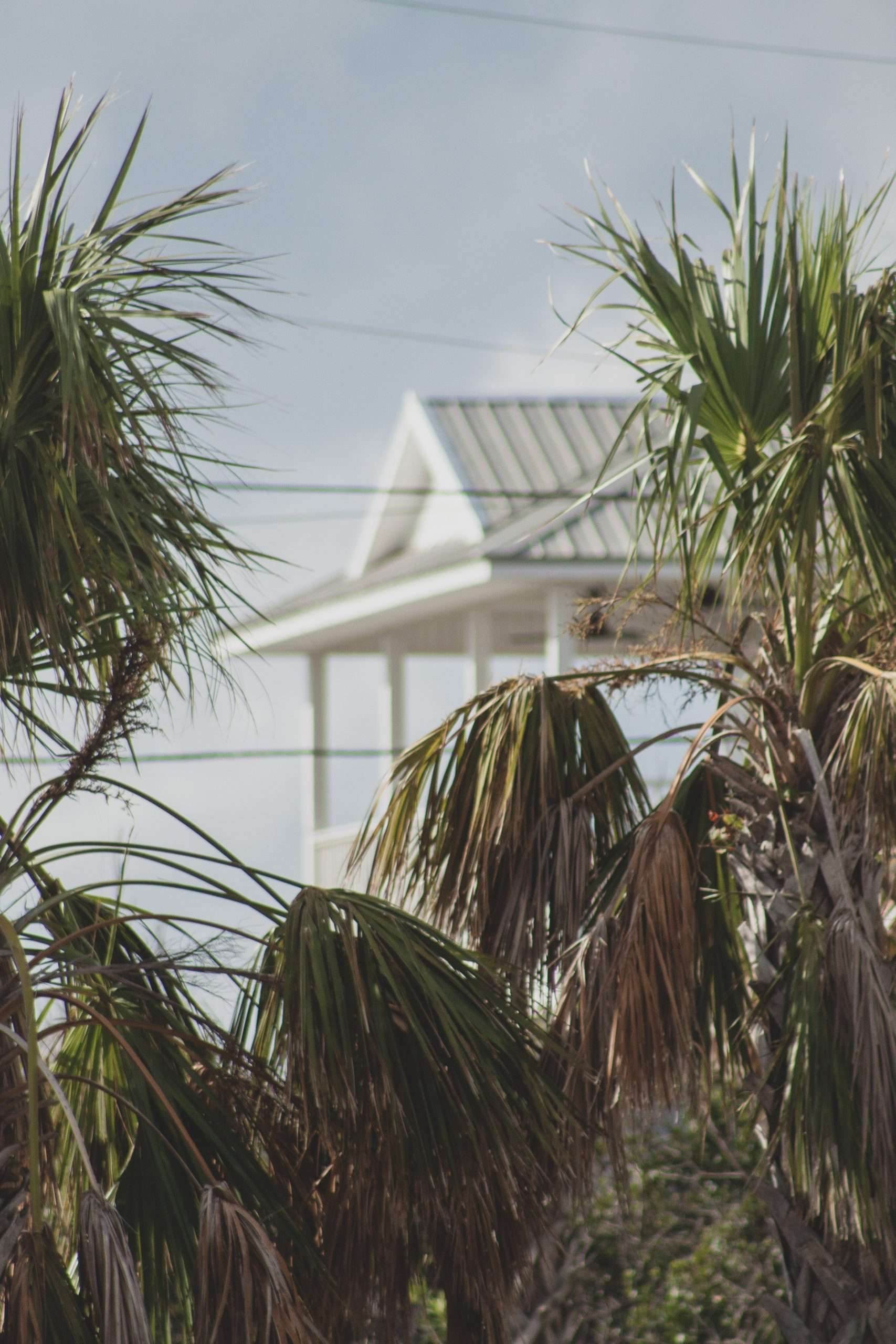 Read more about the article Tarpon Bay